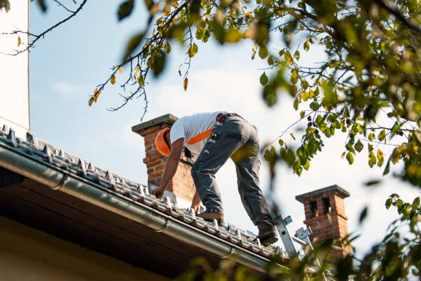 Best Gutter Installation and Roofing  in Mill Valley, CA